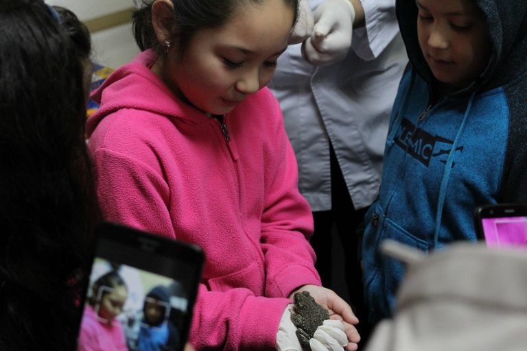 Familias disfrutaron de "Un Paseo por la Ciencia" en la Universidad de Concepción Campus Los Ángeles