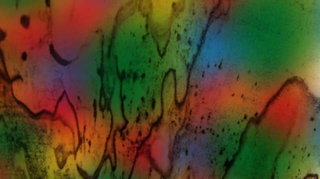 Conversatorio sobre coloración de madera con hongos, una exitosa fusión de arte, ciencia y emprendimiento