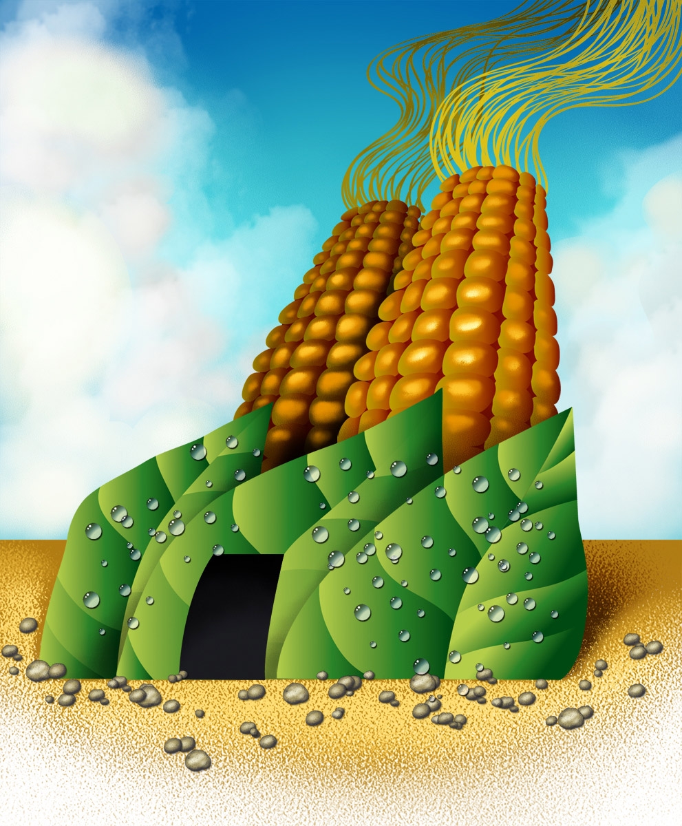 Investigador de la USS Concepción desarrollará proyecto agroindustrial