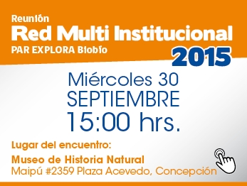 Sexta reunión Red Multi Institucional