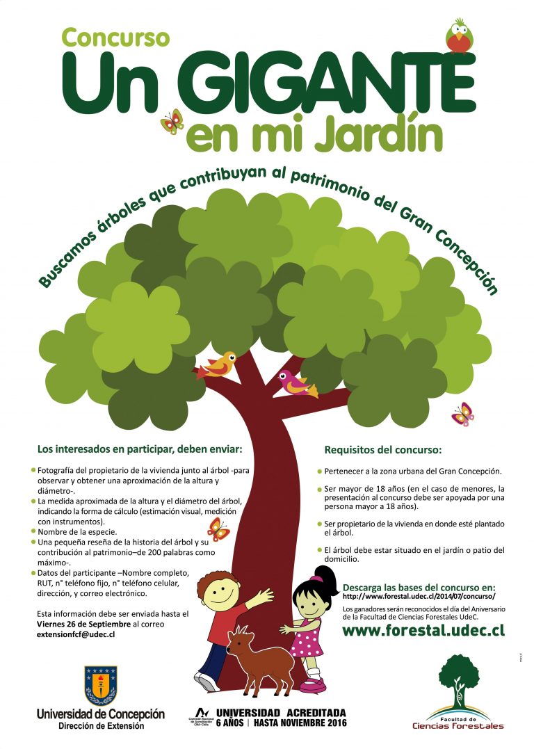 Ciencias Forestales UdeC busca árboles que contribuyan al patrimonio del Gran Concepción