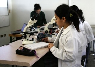 Revista de Pasantías de Investigación Científica Escolar