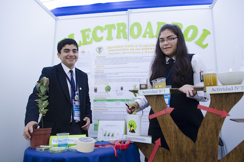 Conoce los proyectos que representarán a la Región del Biobío en el Congreso Nacional de CyT