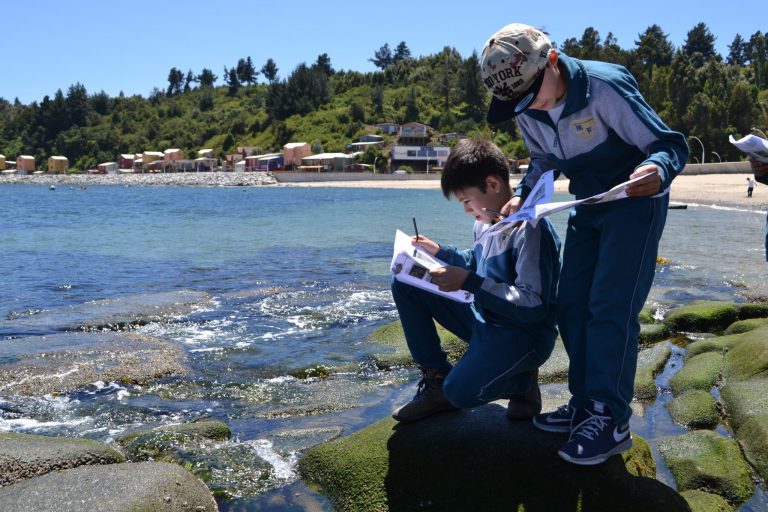 Ganadores de Sumérgete a Explorar conocieron la estación de Biología Marina de la Universidad de Concepción