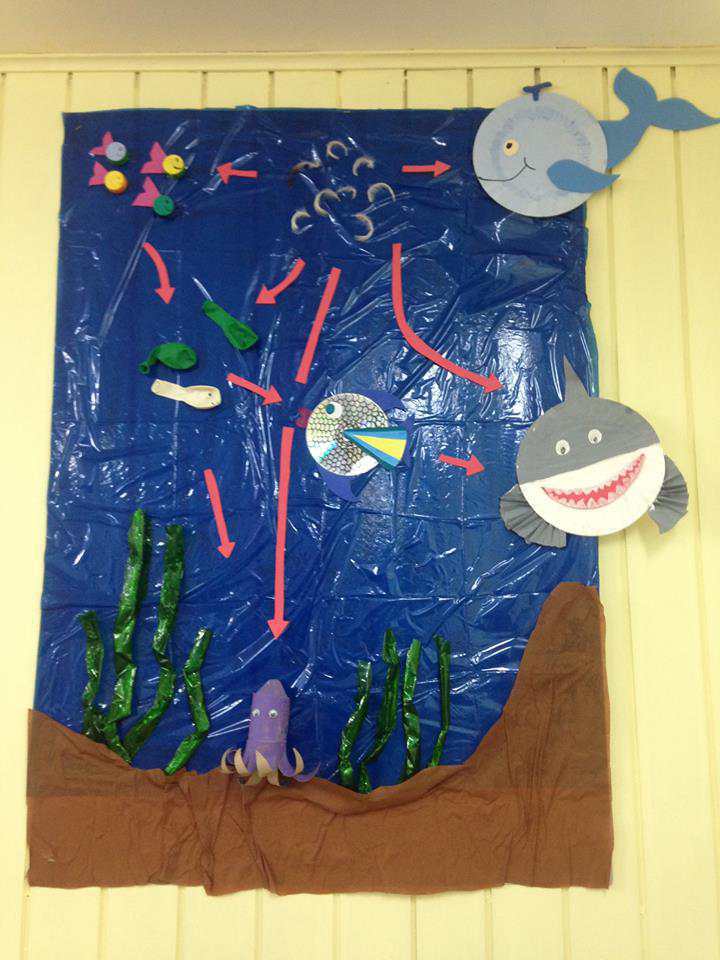 Concurso De IMO Y PAR Explora Biobío “Sumérgete A Explorar” Ya Tiene A Sus Primeros Ganadores