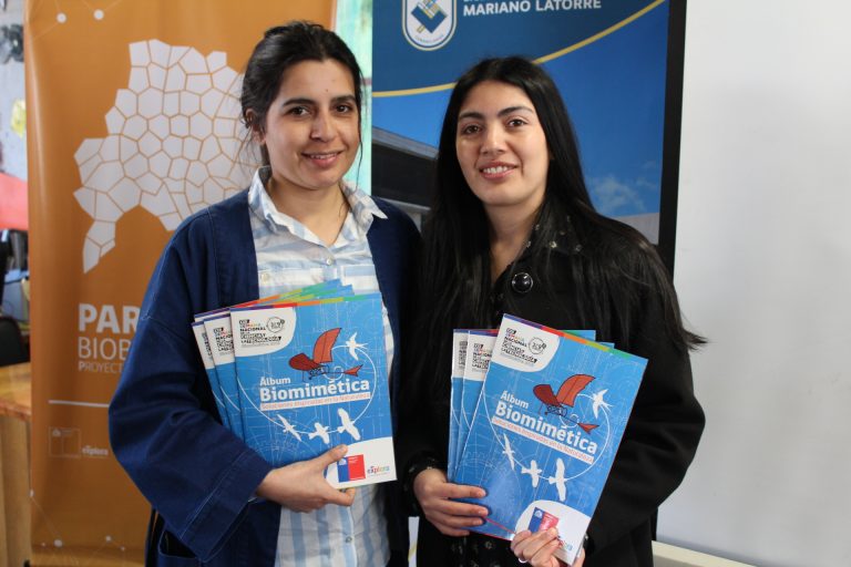 ¡Los profesores de la Provincia de Arauco ya tienen sus álbumes de biomimética!