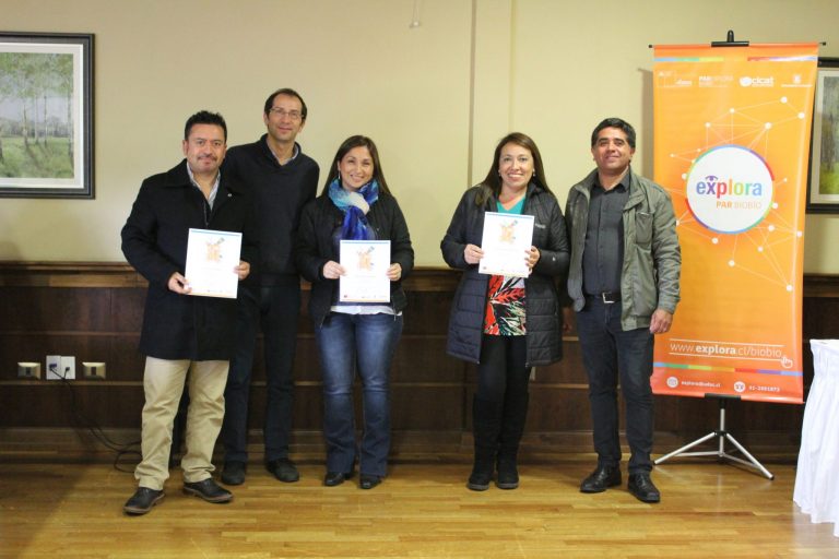 Docentes de San Pedro de la Paz se capacitaron en TICs