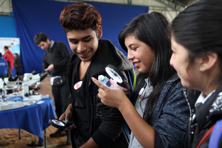 Gran Feria “Un Mar De Maravillas” Se Inaugura En Tirúa