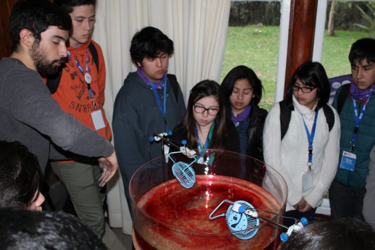 En ChileVa! Pinto nos sumergimos en la ciencia con los talleres del IMO