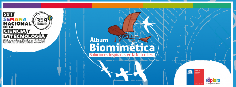 Únete a la XXII Semana Nacional de Ciencia y Tecnología con el Álbum de la Biomimética