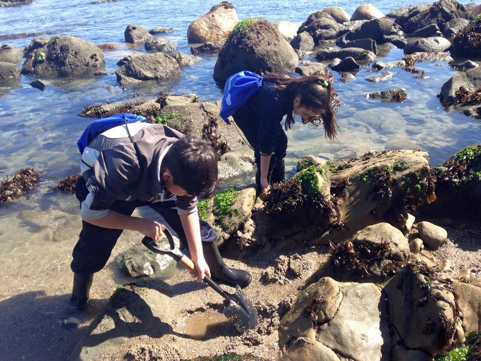 Se Realizó La Segunda Jornada “De La Montaña Al Mar” En Las Costas De Cocholgue