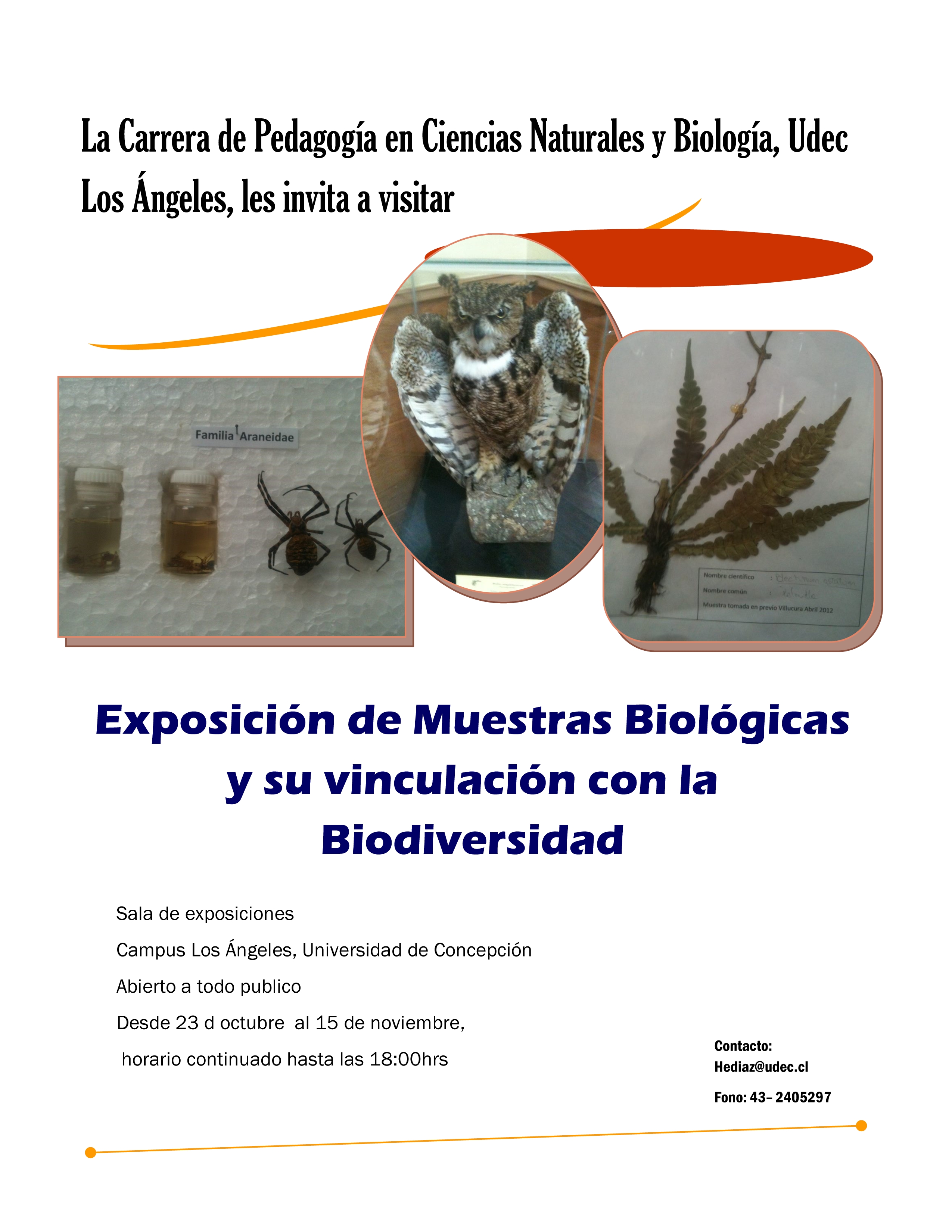 UdeC Los Ángeles invita a la exposición " “Muestras Biológicas y su vinculación con la Biodiversidad”