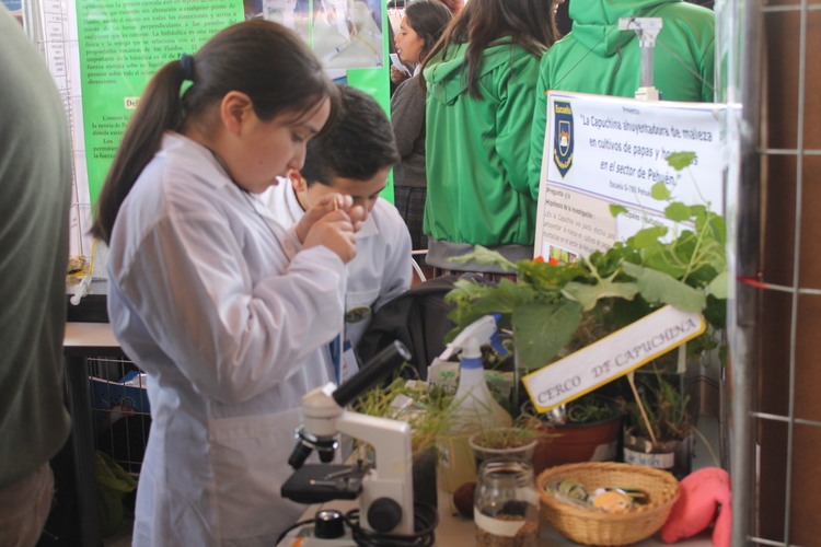 Estudiantes de las Provincias de Ñuble, Arauco, Biobío y Concepción se presentaron en la primera jornada del XVIII Congreso Regional de Ciencia y Tecnología