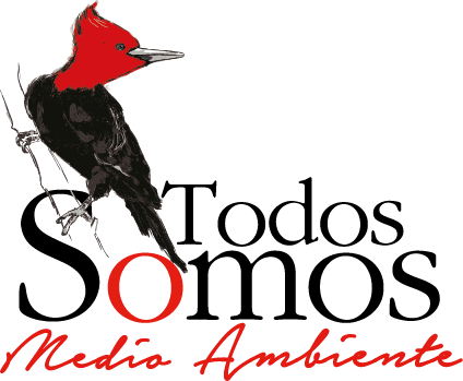 Escolares de la Región del Biobío podrán concursar con ideas de proyectos sustentables para mejorar problemas medio ambientales