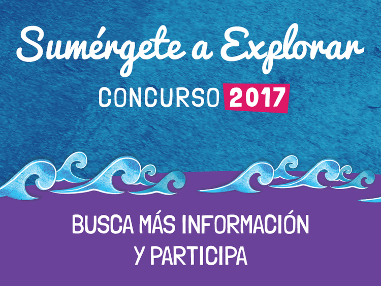 El Acuario Virtual “Sumérgete” Vuelve Con Nuevas Iniciativas Y Concursos
