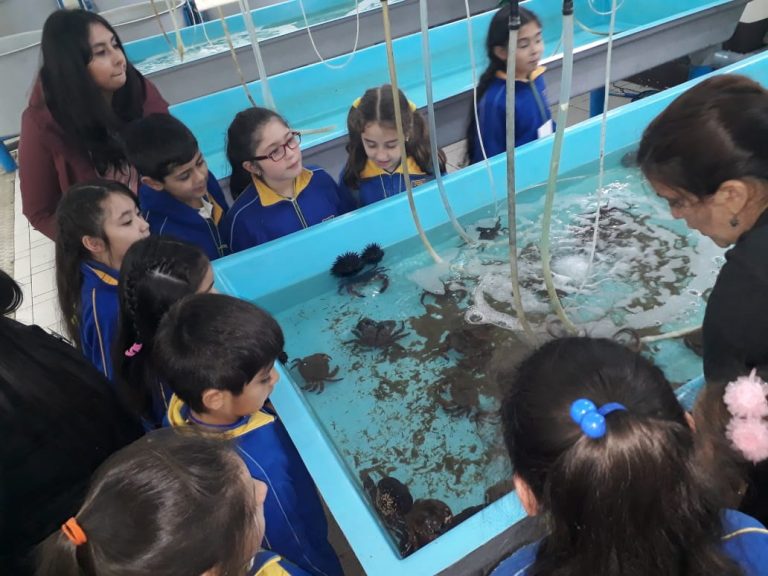 Estudiantes de Los Ángeles conocieron Estación de Biología Marina Udec en Dichato
