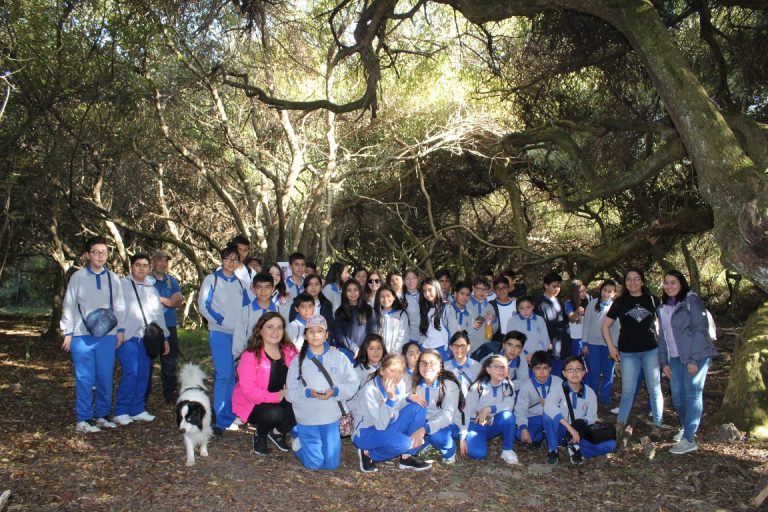 Ganadores del álbum Un gran viaje al mundo de los ¿Por qué? conocieron el Bosque esclerófilo de Hualpén