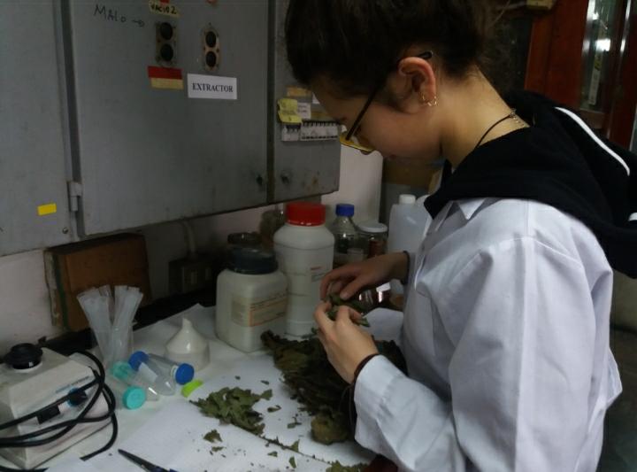 Compromiso y perseverancia, ingredientes fundamentales en la receta de la ciencia