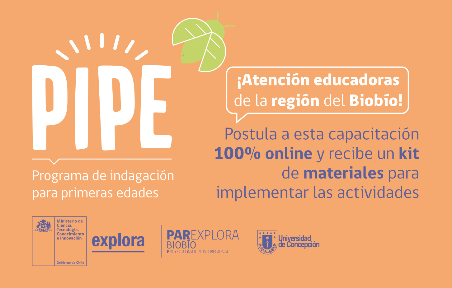 ¡Atención Educadoras de Párvulos! Se abre la convocatoria al Programa de Indagación para Primeras Edades
