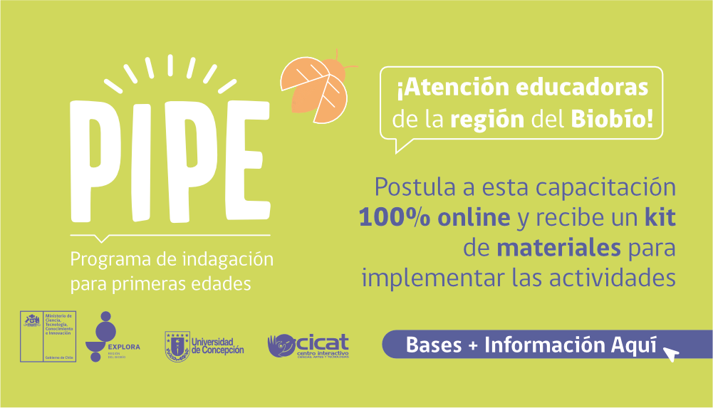 ¿Educadora de Párvulos? Postula al Programa de Indagación para Primeras Edades (PIPE)