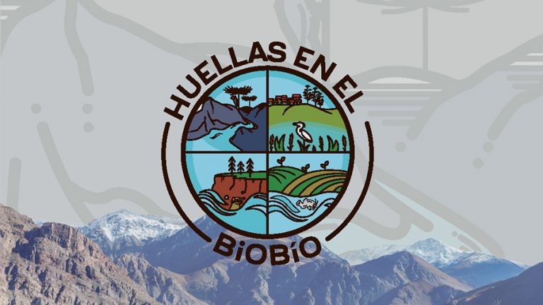 Huellas en el Biobío: Una herramienta audiovisual para estudiantes de la región