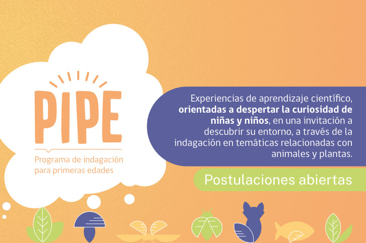 Programa de Indagación para Primeras Edades