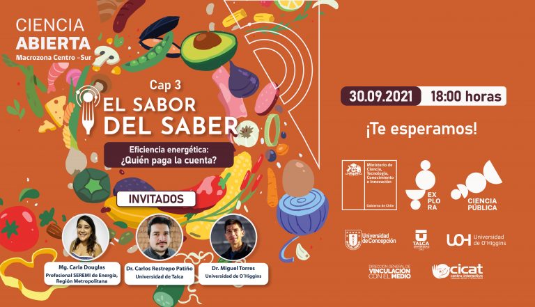 [El Sabor del Saber] Eficiencia Energética ¿Quién paga la cuenta?