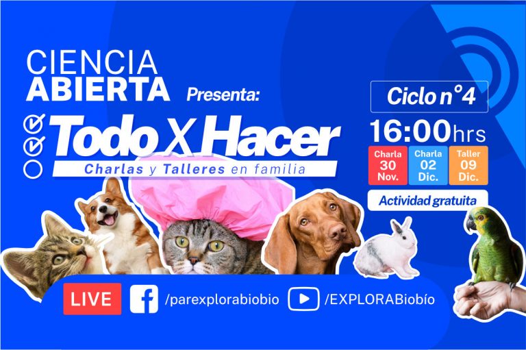 Cómo cuidar a mi mascota