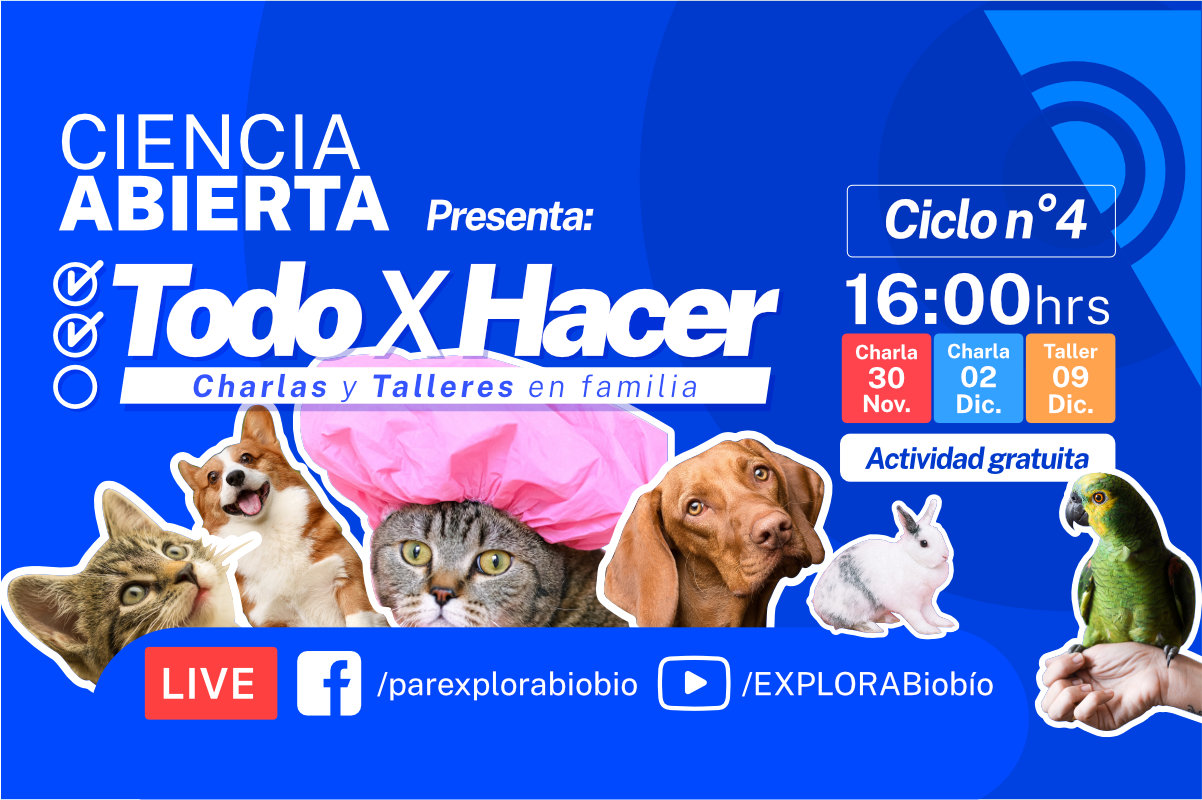 Cómo cuidar a mi mascota