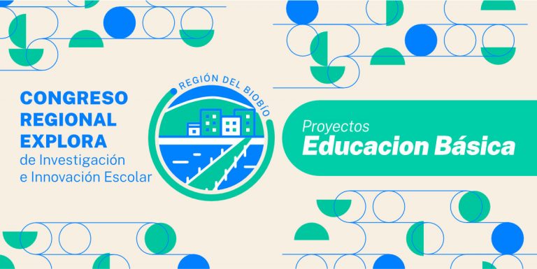 Proyectos de Educación Básica