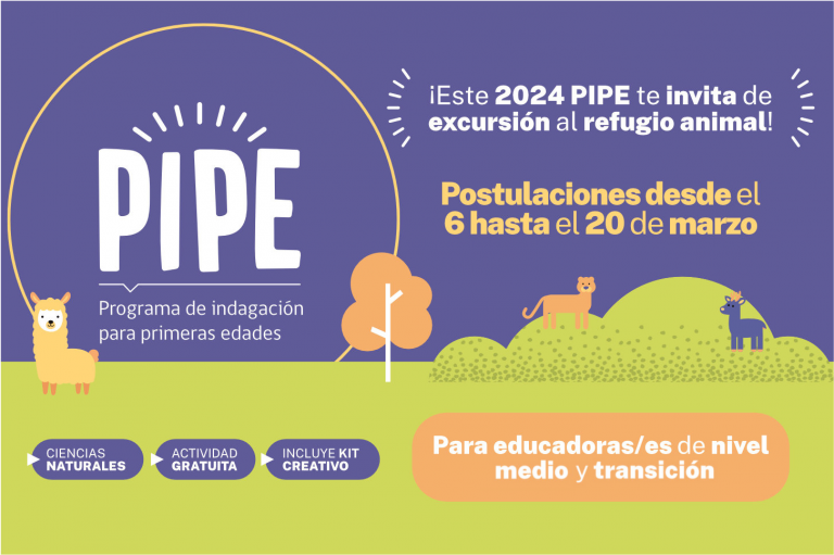 PIPE 2024: ¡Ya puedes postular para ser parte de PIPE de Explora Biobío!