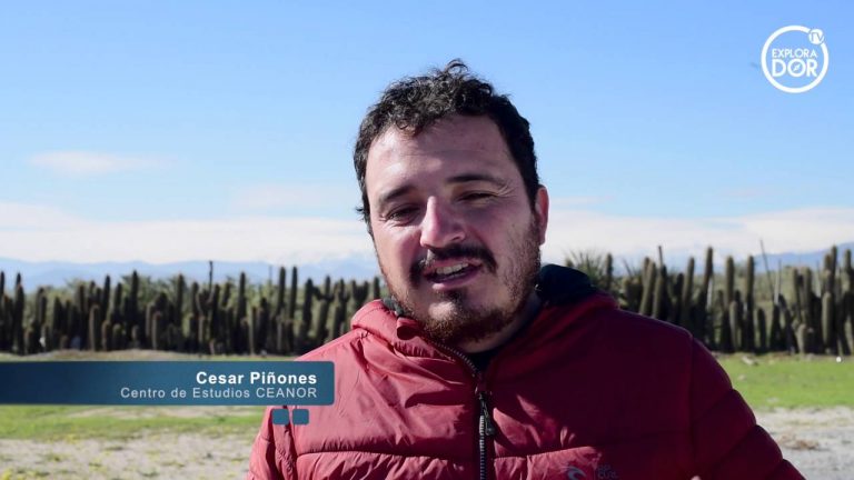 Reportaje Audiovisual: Las Salinas de Huentelauquén, Tierra mágica de humedales