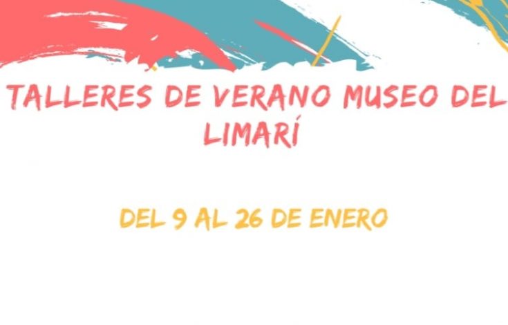 Talleres_Limarí