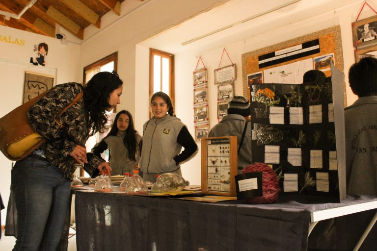 Abiertas convocatorias: Más de 60 establecimientos de la región podrán ser beneficiados con iniciativas de ciencia escolar