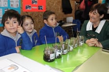 La ciencia en sus primeros pasos