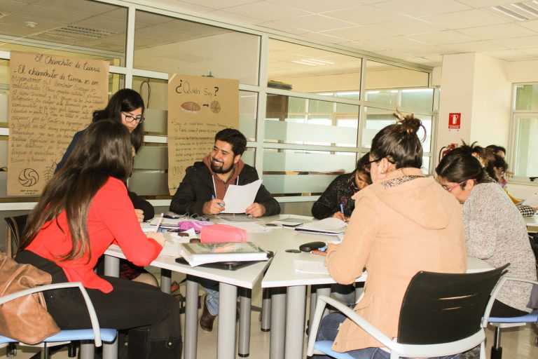 Docentes de la Región de Coquimbo se capacitaron en metodologías para desarrollar investigación científica escolar