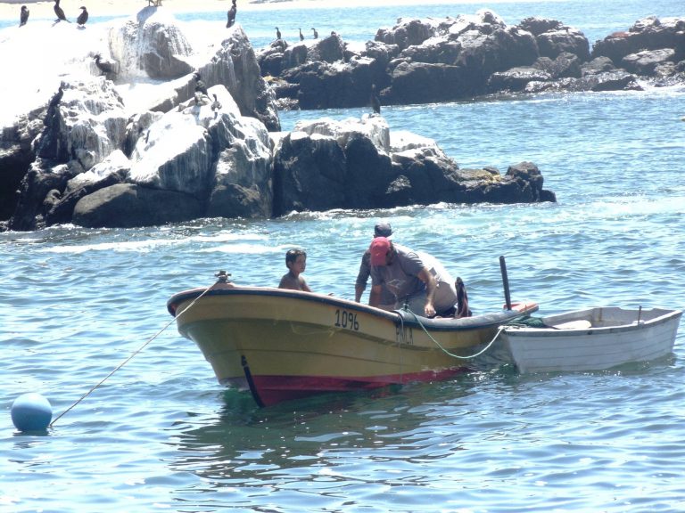 Región de Coquimbo recibe este año el Congreso de Ciencias del Mar