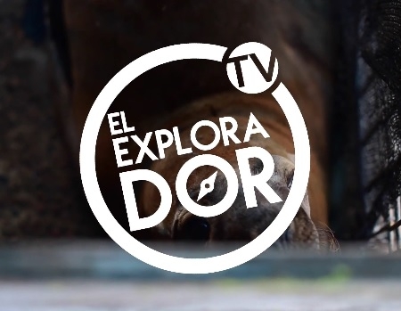 Mira acá un nuevo capítulo del EXPLORADOR TV: "ONG Conservación Humboldt"