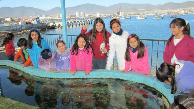 Acuarios UCN permanecerán abiertos todo el verano