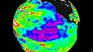 Región de Coquimbo recibe este año el Congreso de Ciencias del Mar