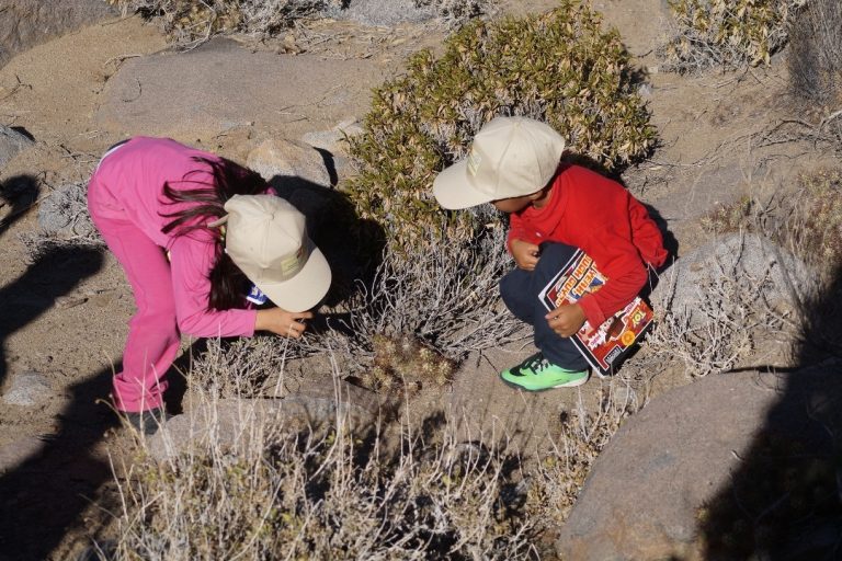 En el marco del Mes del Medio Ambiente, la comunidad de El Cuyano conoce su entorno