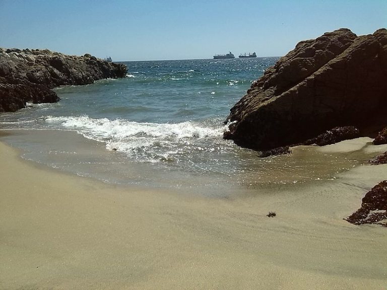 Ciclo de Actividades de Aprendizaje Marino: Zonación en costas rocosas, cada uno en su lugar