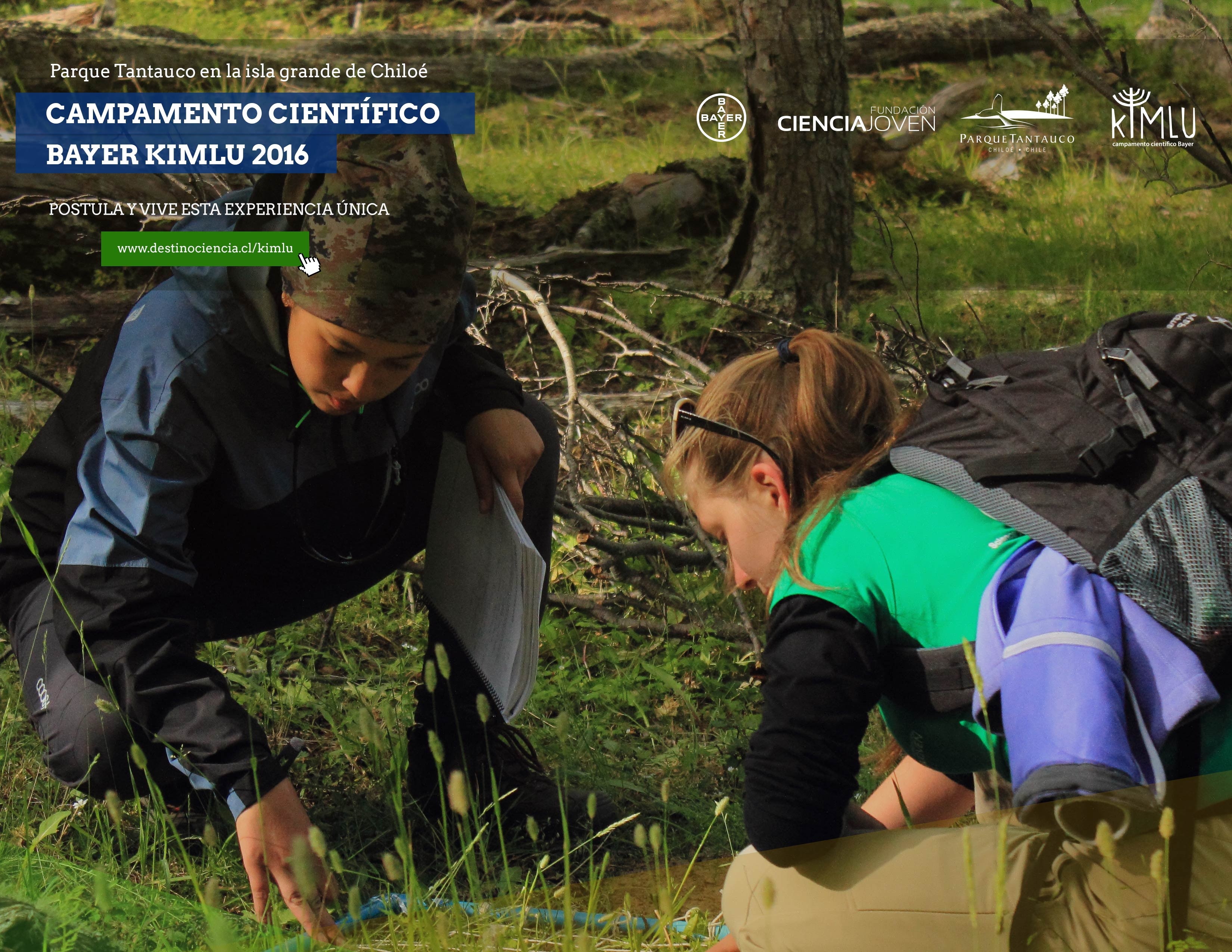 Campamento científico llevará a 40 jóvenes al Parque Tantauco