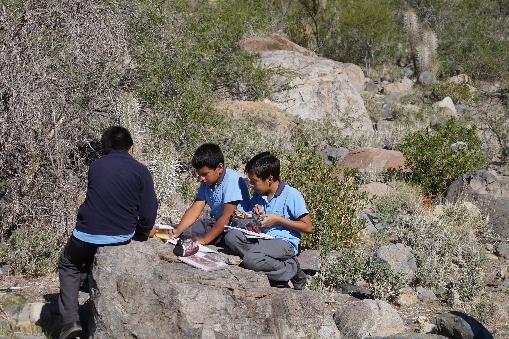 Los “Superhéroes” de la Biodiversidad: Jóvenes de Tulahuén protegen su entorno