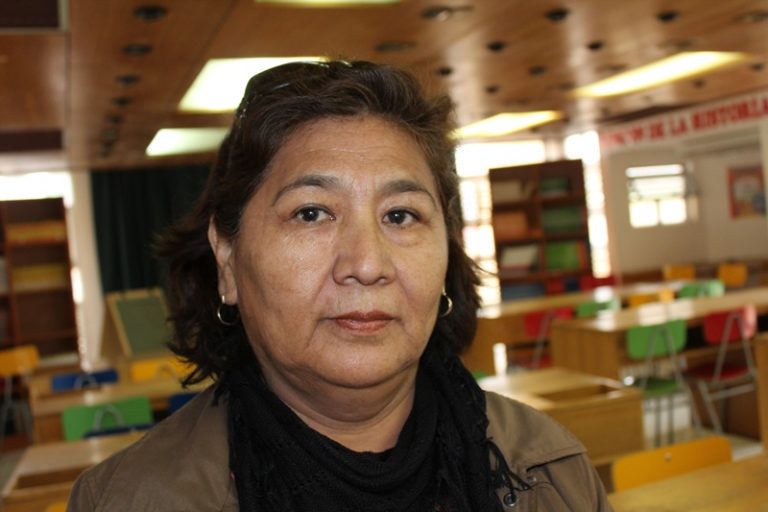 Reportaje: “Conservación Humboldt”: La historia de la ONG que rescata a los animales marinos de Coquimbo