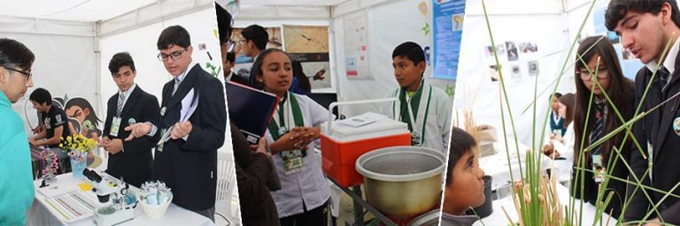 Con éxito se está desarrollando iniciativa CAICE “Andacollo Verde”