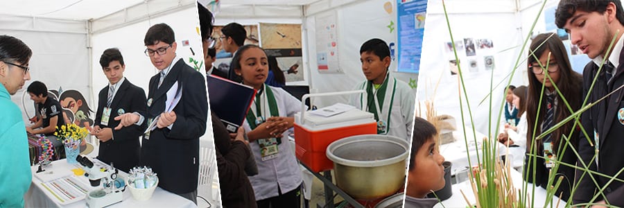 Con éxito se está desarrollando iniciativa CAICE “Andacollo Verde”