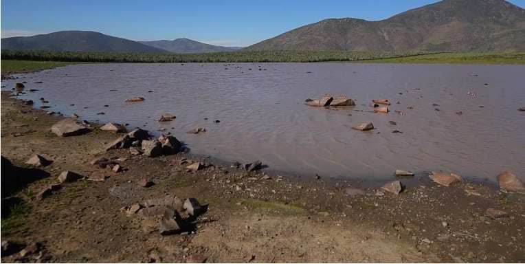 Columna de Opinión: Día Mundial del Agua