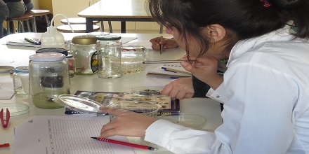 Exploradores del Desierto continúa su trabajo en la región de Coquimbo tras las vacaciones de invierno