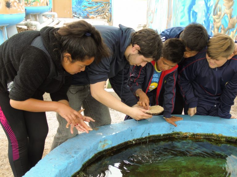 Estudiantes de la región participan de las jornadas finales de la Red de Academias Marinas